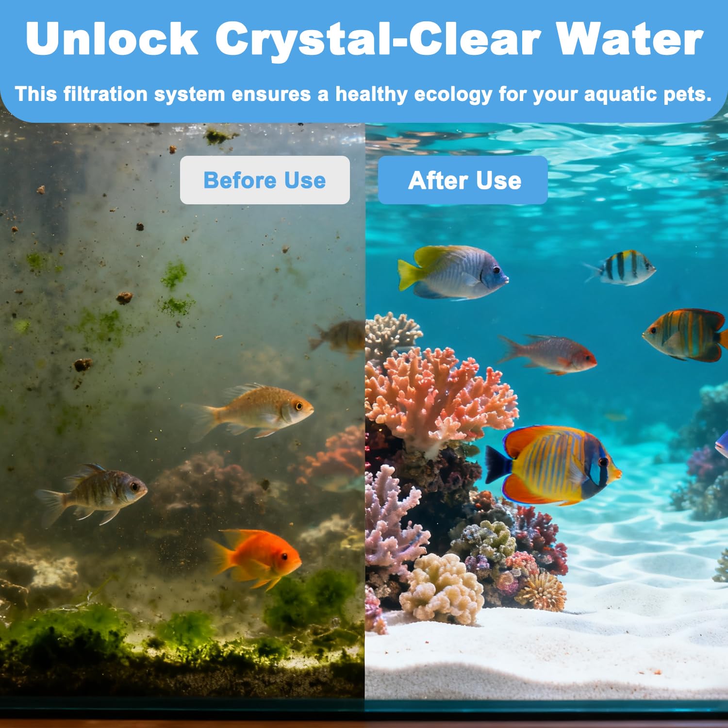 Beaufan Waterbox AIO 20 CUBE setup shows simple maintenance.