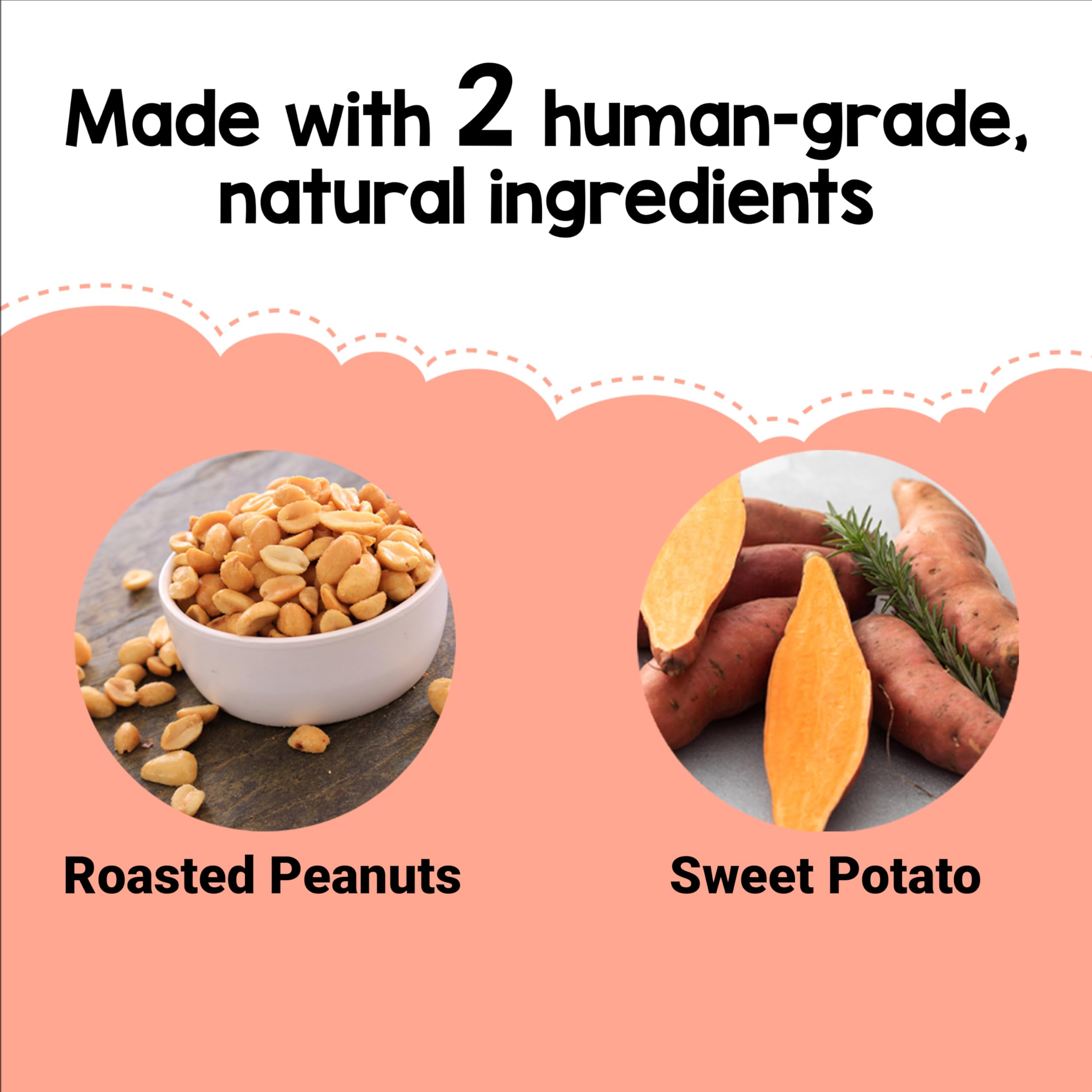 Beaumont Basics Flavors Freeze-Broth Cubes freeze broth into bite-sized snack options.