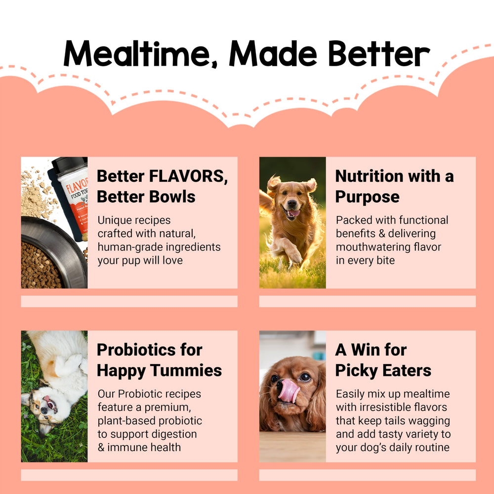 Beaumont Basics Flavors Hydration-friendly mix supports easy supplementation during meals.