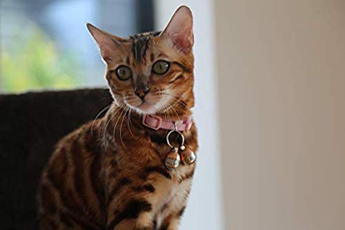 Beau's Bells handmade copper: luxury handcrafted copper bell with detailed craftsmanship