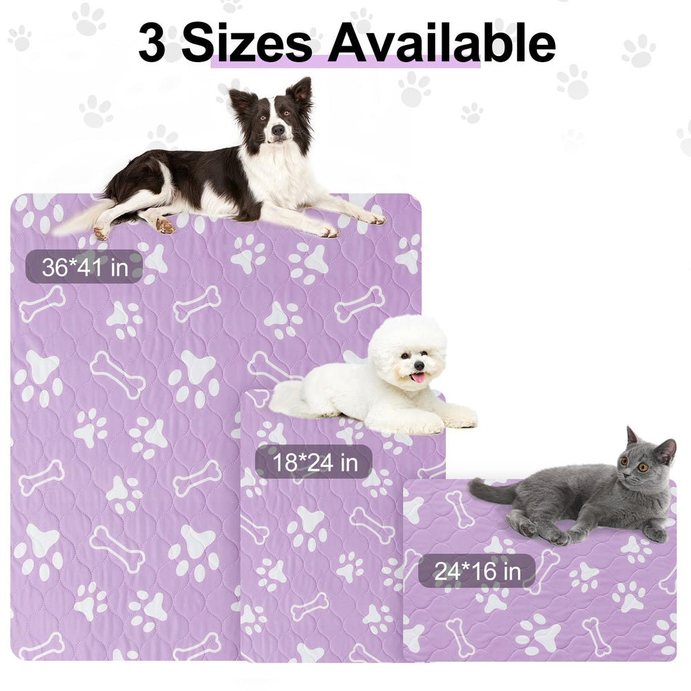 BEAUTYZOO 16x24 pee pad with absorbent layer for moisture containment.