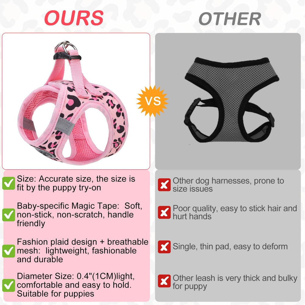 BEAUTYZOO 360-degree swivel leash view demonstrates tangle-free walking