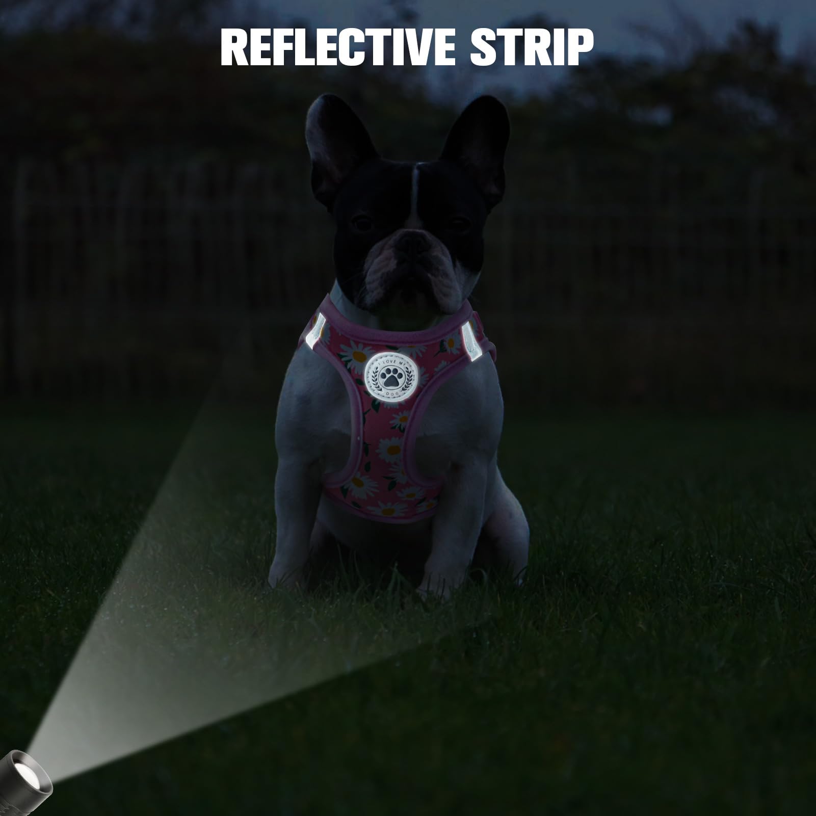 BEAUTYZOO 360-degree swivel leash reduces tangling during exploration.