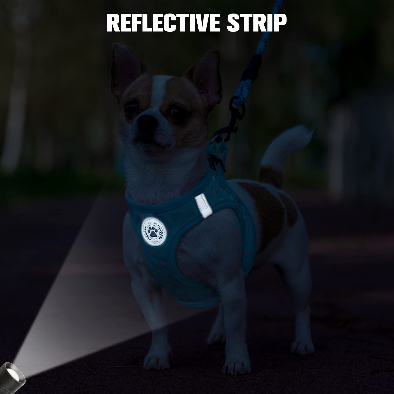 BEAUTYZOO 360-swivel leash hardware prevents tangles on lively walks.