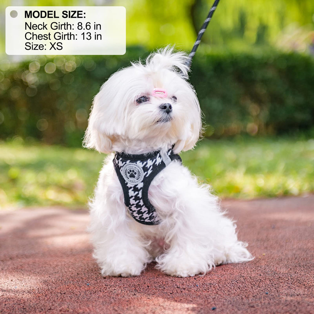 BEAUTYZOO 360-degree swivel-hook closeup prevents leash tangling