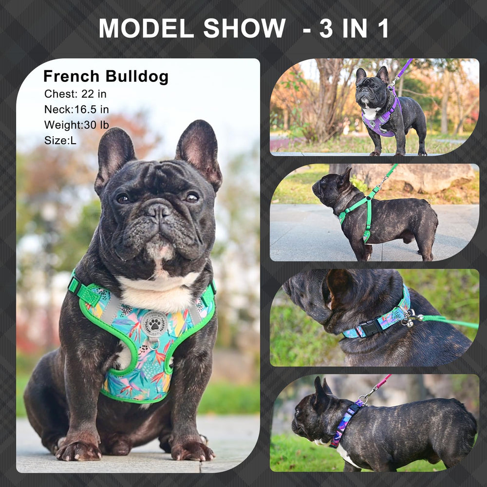 BEAUTYZOO 3-in-1 collection highlighted for versatile style and function.