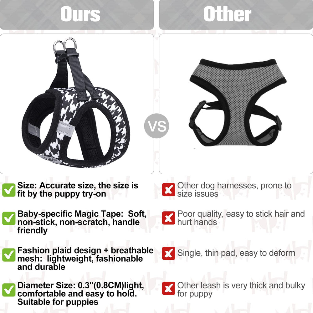 BEAUTYZOO 5ft leash closeup shows sturdy clip and tangle-free design