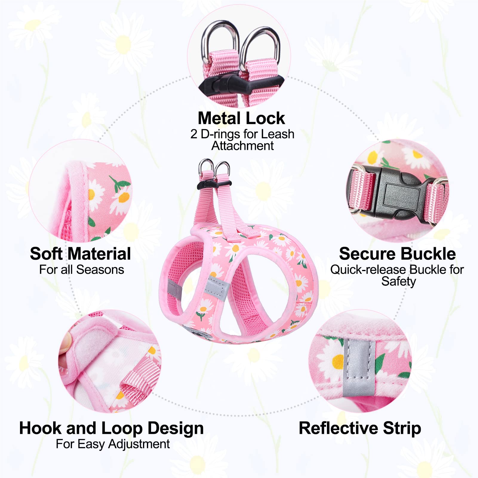 BEAUTYZOO 5ft reflective leash provides extended control during walks.