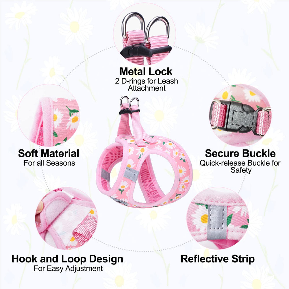 BEAUTYZOO 5ft reflective leash provides extended control during walks.
