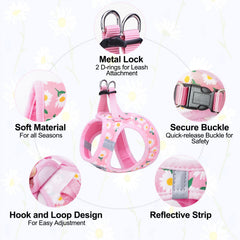 BEAUTYZOO 5ft reflective leash provides extended control during walks.