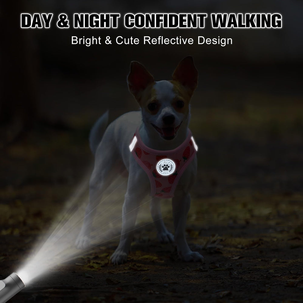 BEAUTYZOO 5ft leash with swivel illustrates tangle-free control and steady traction