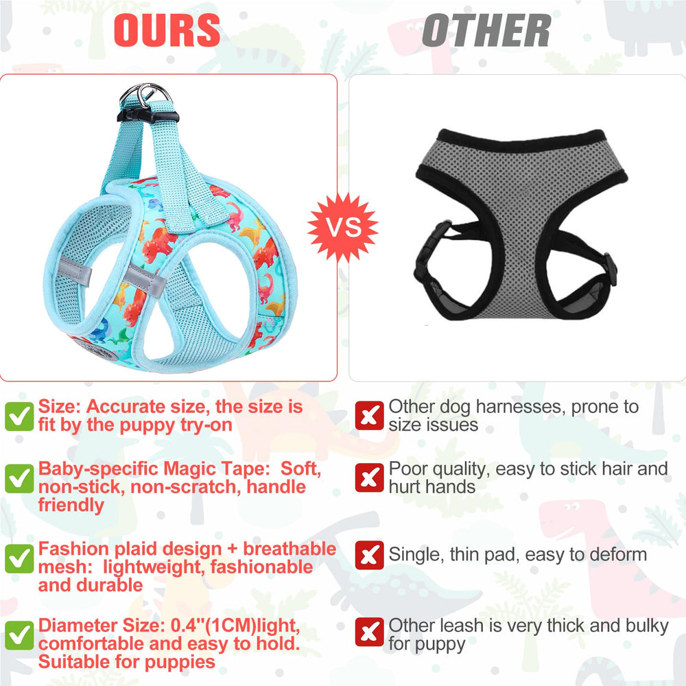 BEAUTYZOO 5ft reflective leash gives pets room to explore safely.
