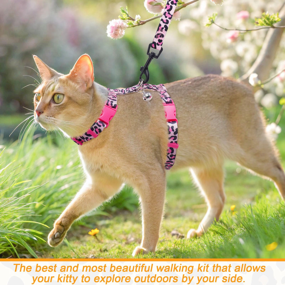 BEAUTYZOO adjustable cat harness highlights neck and chest fit for secure walks.