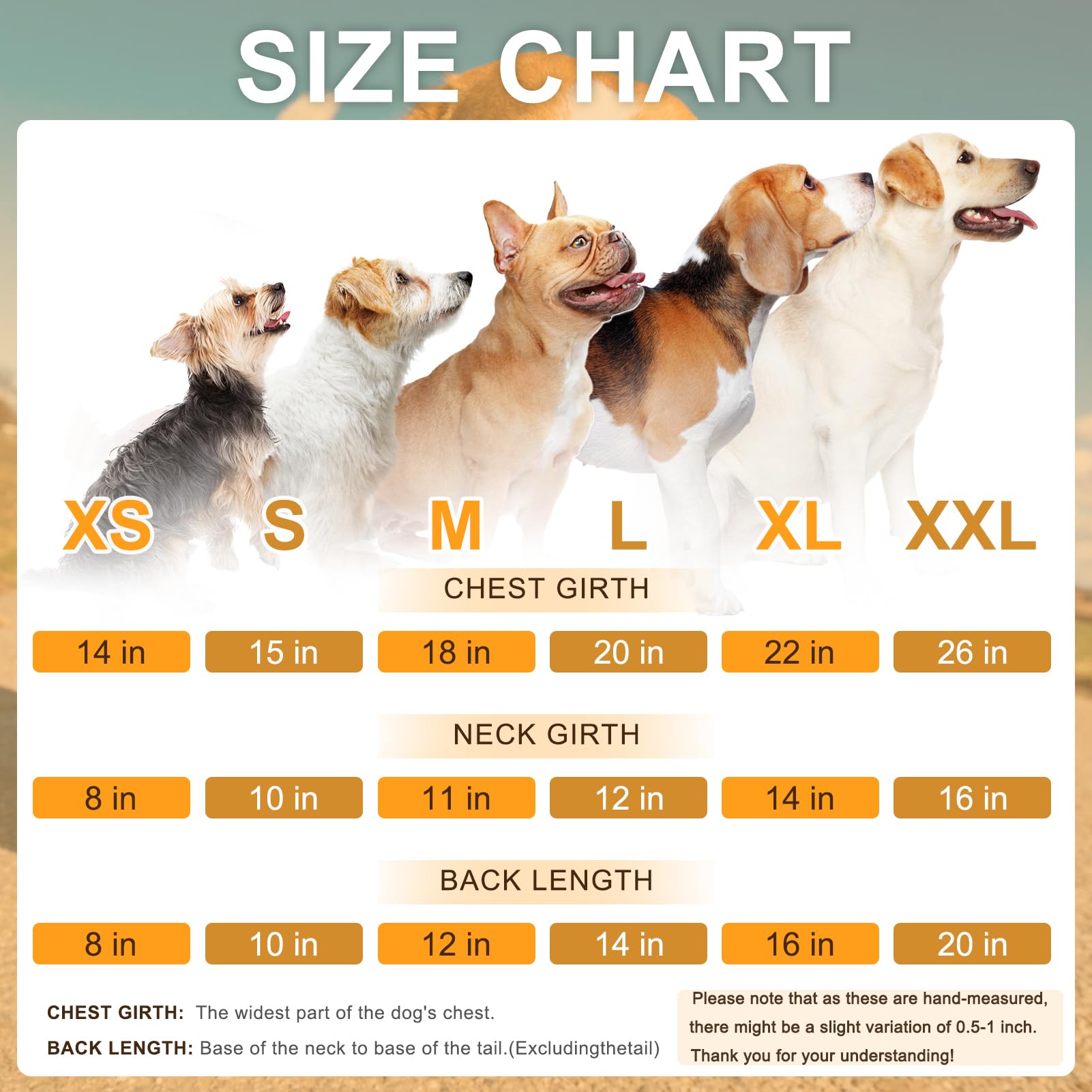 BEAUTYZOO All-season dog clothing suitable for parties and everyday wear.