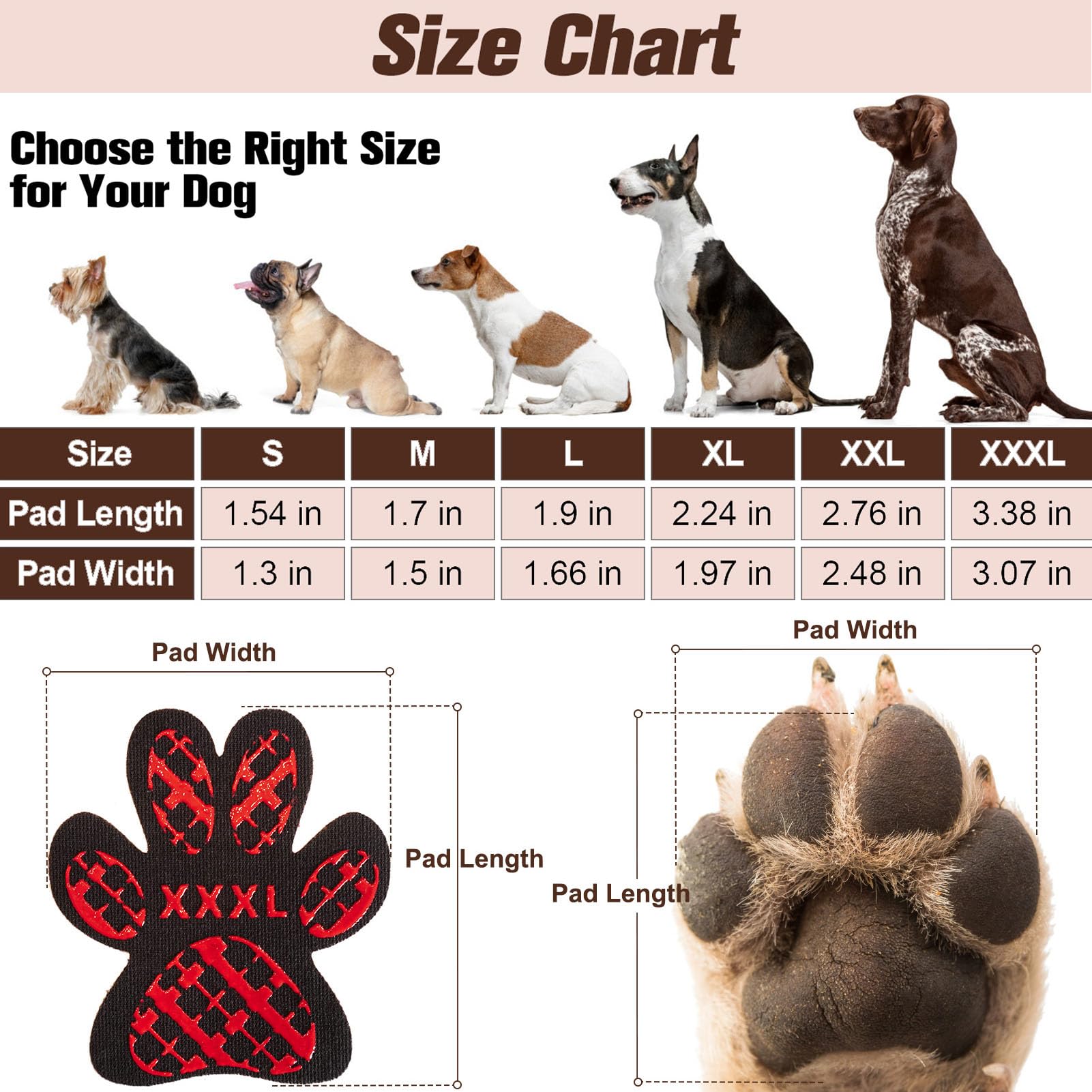 BEAUTYZOO anti-slip paw grips on dog feet for safer steps.