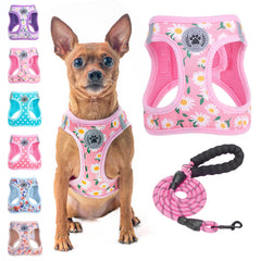 BEAUTYZOO arnés floral de entrada, cómodo para perros pequeños y gatos.