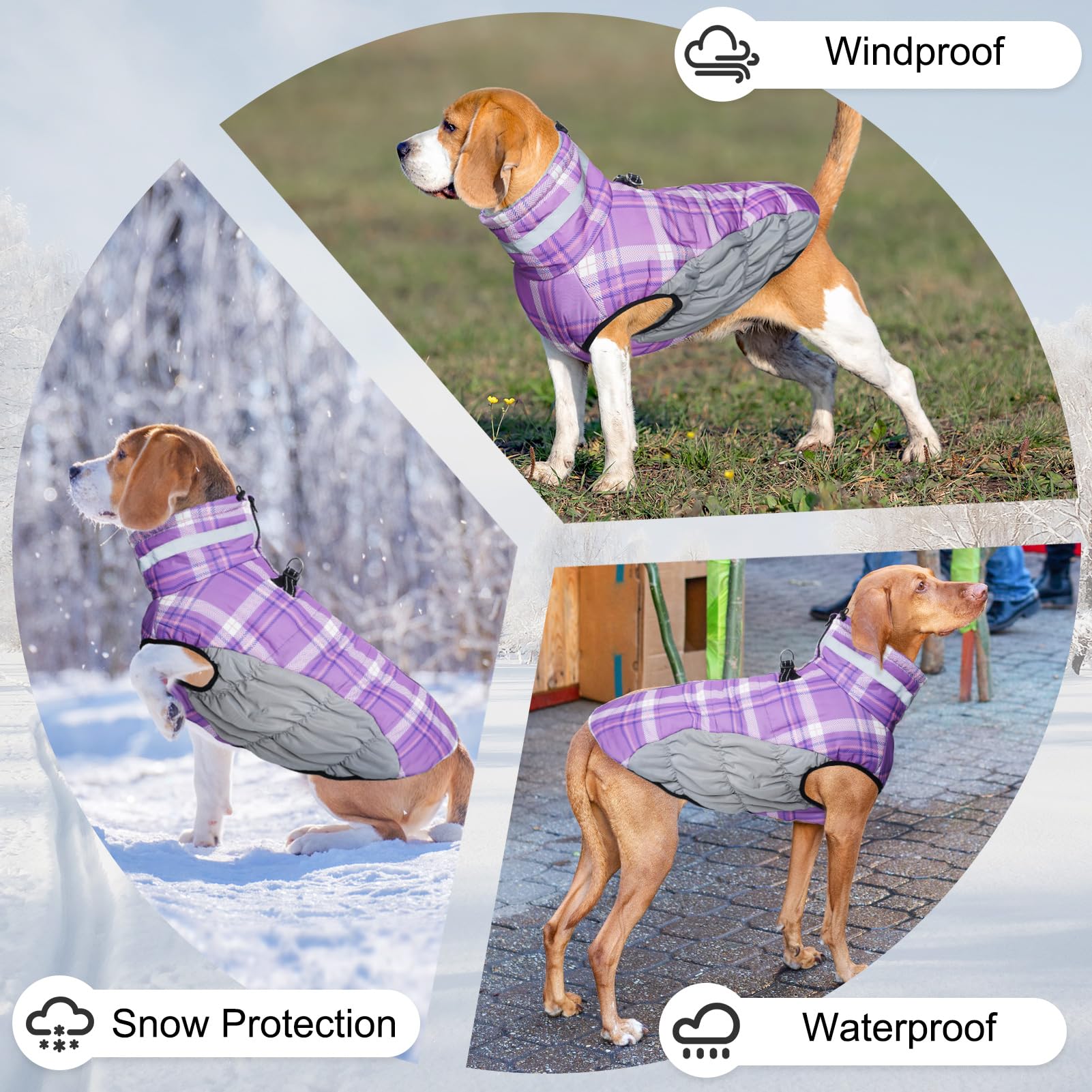 BEAUTYZOO back D-ring leash clip design reduces neck strain during walks