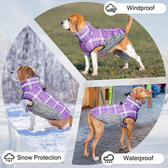 BEAUTYZOO back D-ring leash clip design reduces neck strain during walks