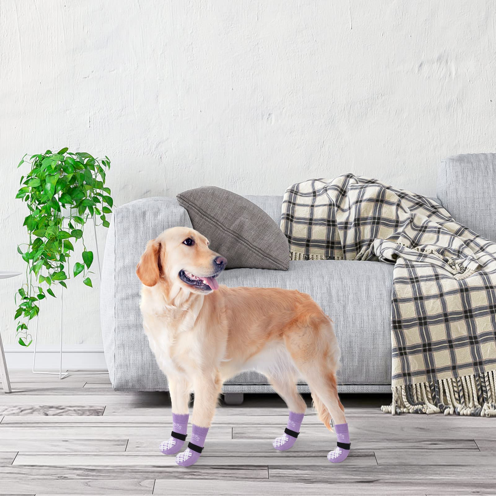 Fácil limpieza y reemplazo rápido para perros activos BEAUTYZOO