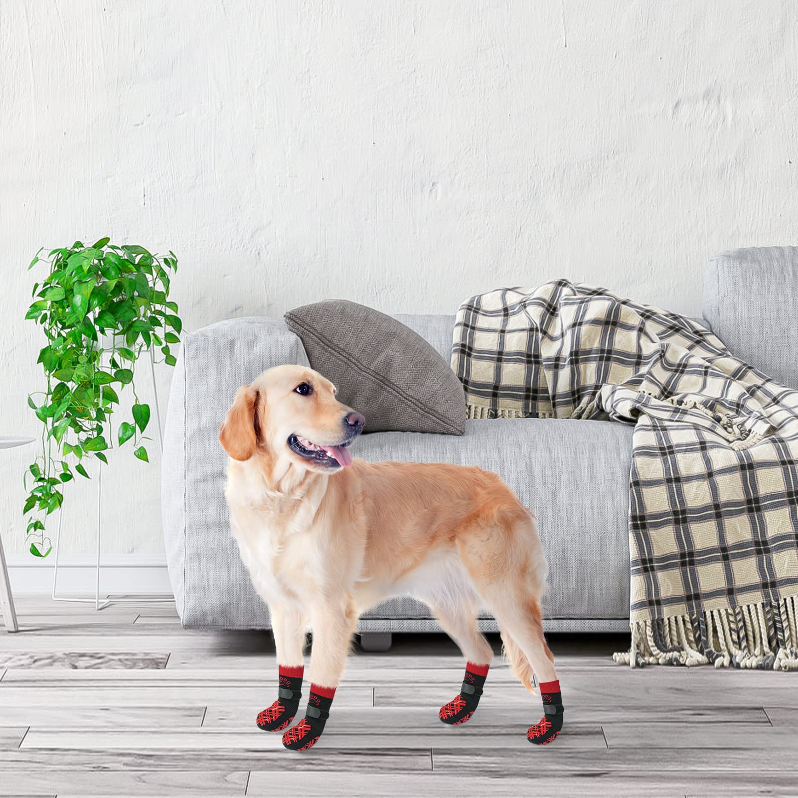 BEAUTYZOO pack de seis calcetines antideslizantes para perros, compra conveniente.