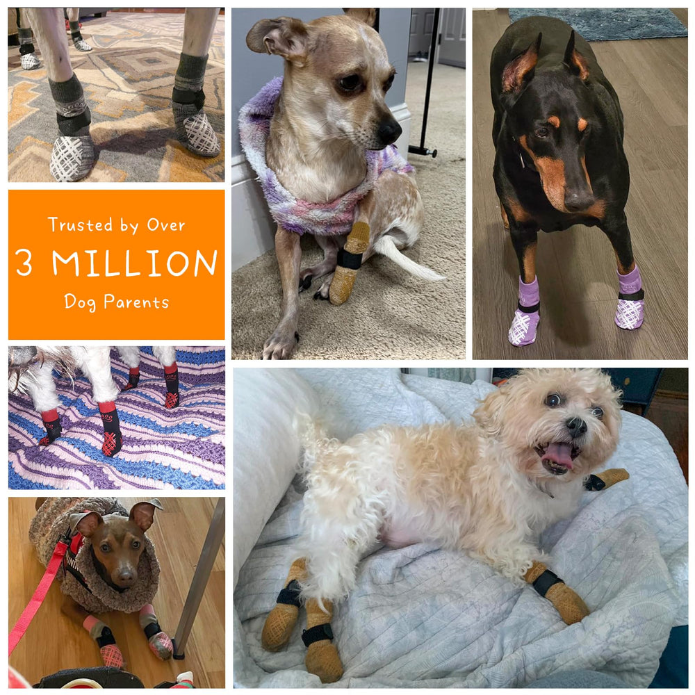 Protección de patas BEAUTYZOO en casa y paseos