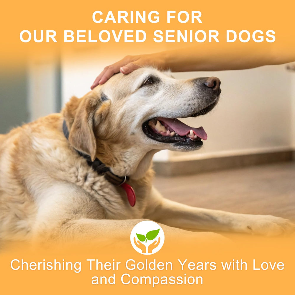 Uso diario Beautyzoo para perros de todos los tamaños y edades.