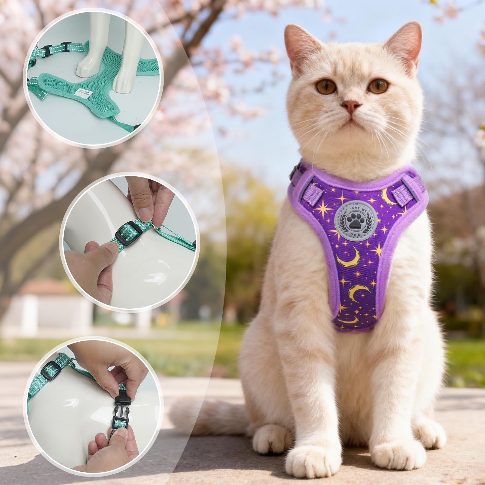 BEAUTYZOO Pack includes small vest harness and leash for outings.