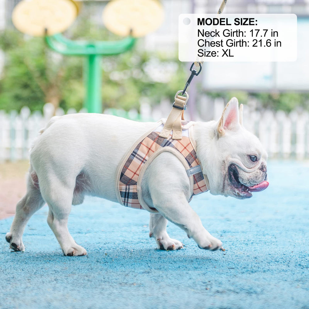 BEAUTYZOO Chest-girth measurement helps sizing accuracy for better fit.