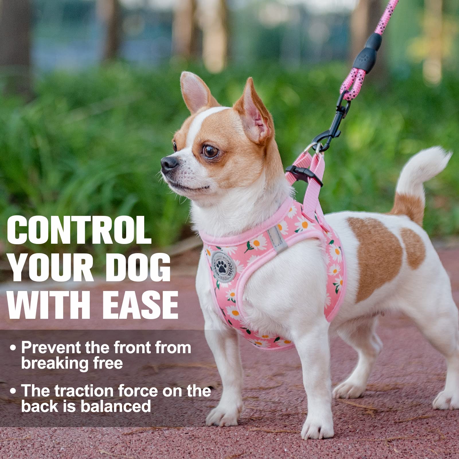 BEAUTYZOO dog-cat friendly harness suitable for multiple pet sizes.