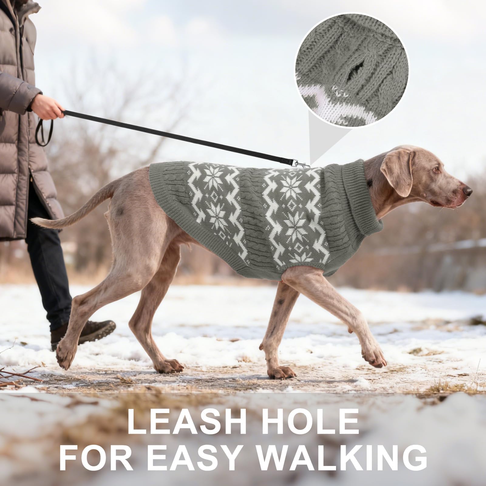 BEAUTYZOO dog wearing the sweater during a cozy photoshoot showcases festive style and warmth