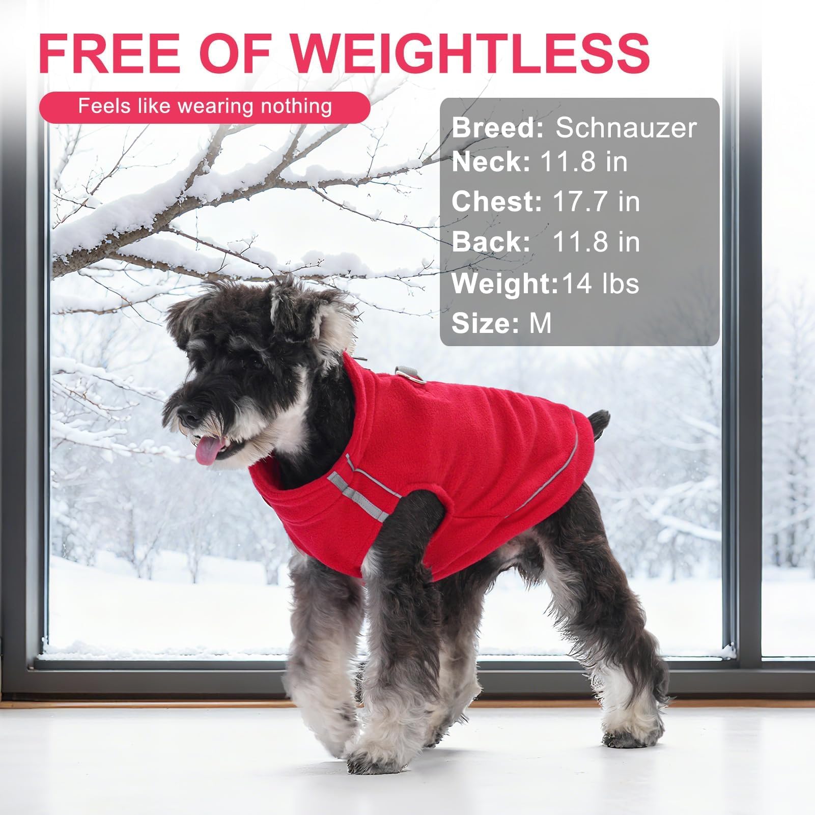 BEAUTYZOO dog fleece vest on-dog during playtime shows flexible movement.