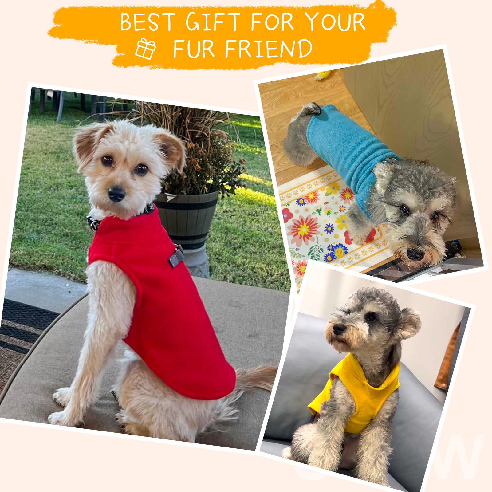 BEAUTYZOO dog fleece vest size guide explains chest neck and back measurements.