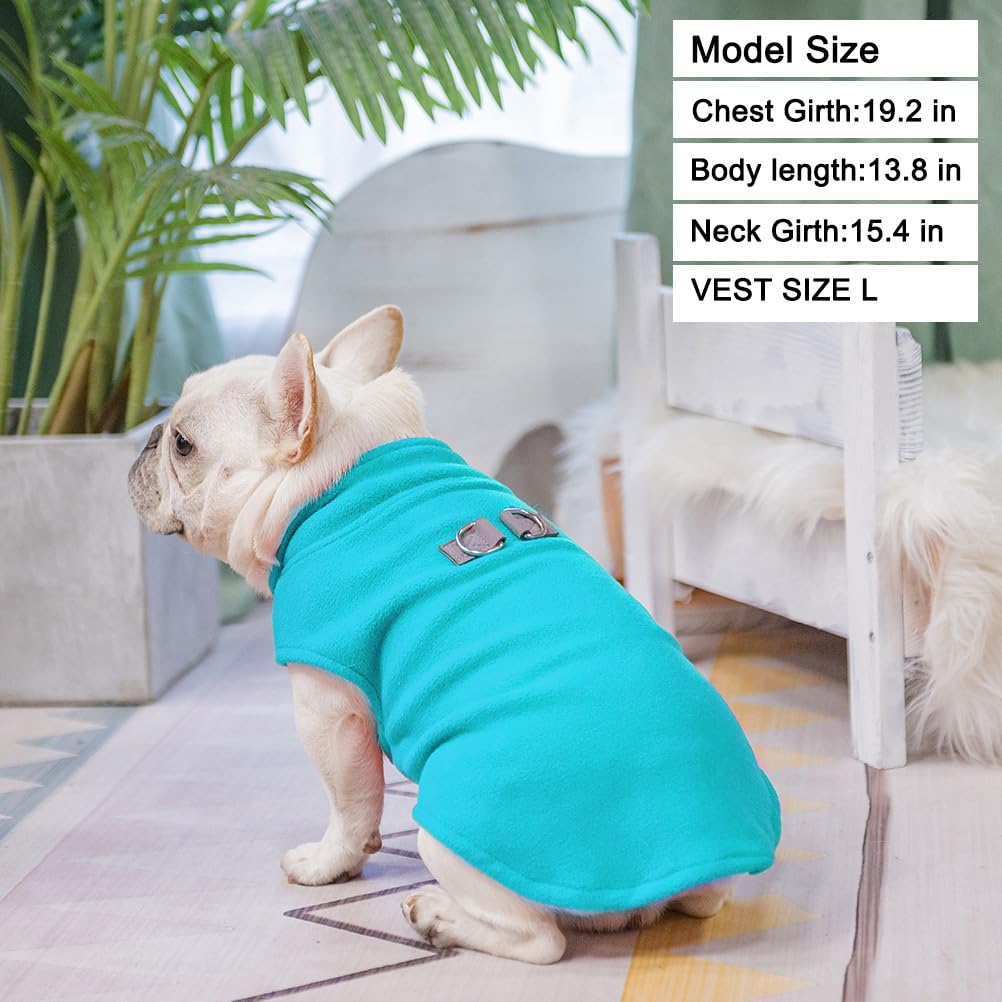 BEAUTYZOO dog fleece vest worn on a small dog demonstrates easy pullover fit.