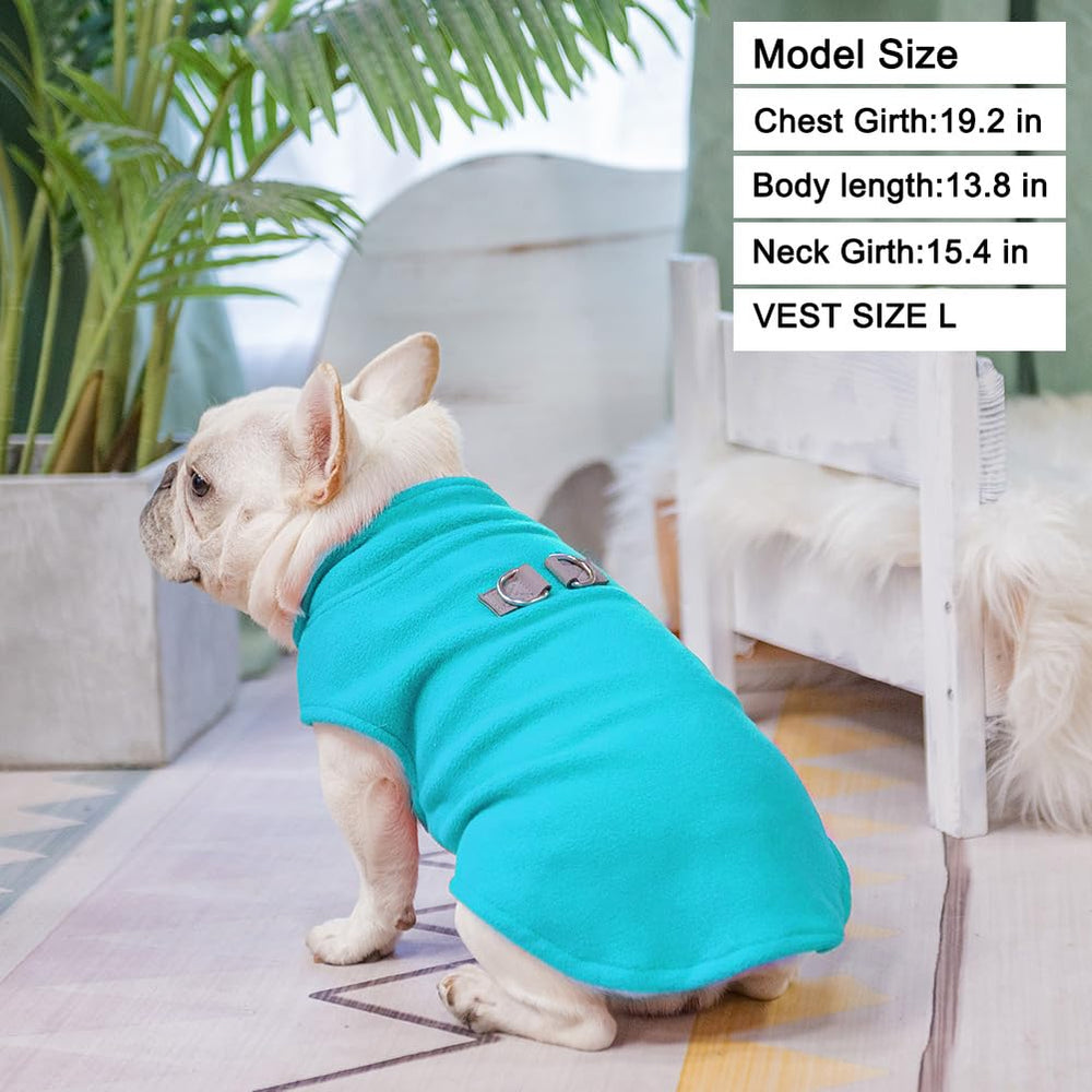 BEAUTYZOO dog fleece vest worn on a small dog demonstrates easy pullover fit.