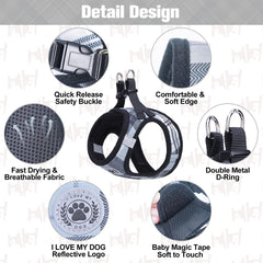 BEAUTYZOO harness vest-style distributes pressure for safer training sessions