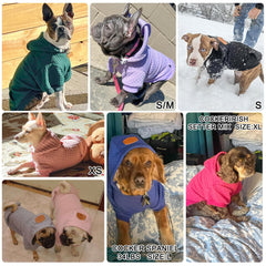BEAUTYZOO dog hoodie back view highlights simple pullover design for easy on/off.