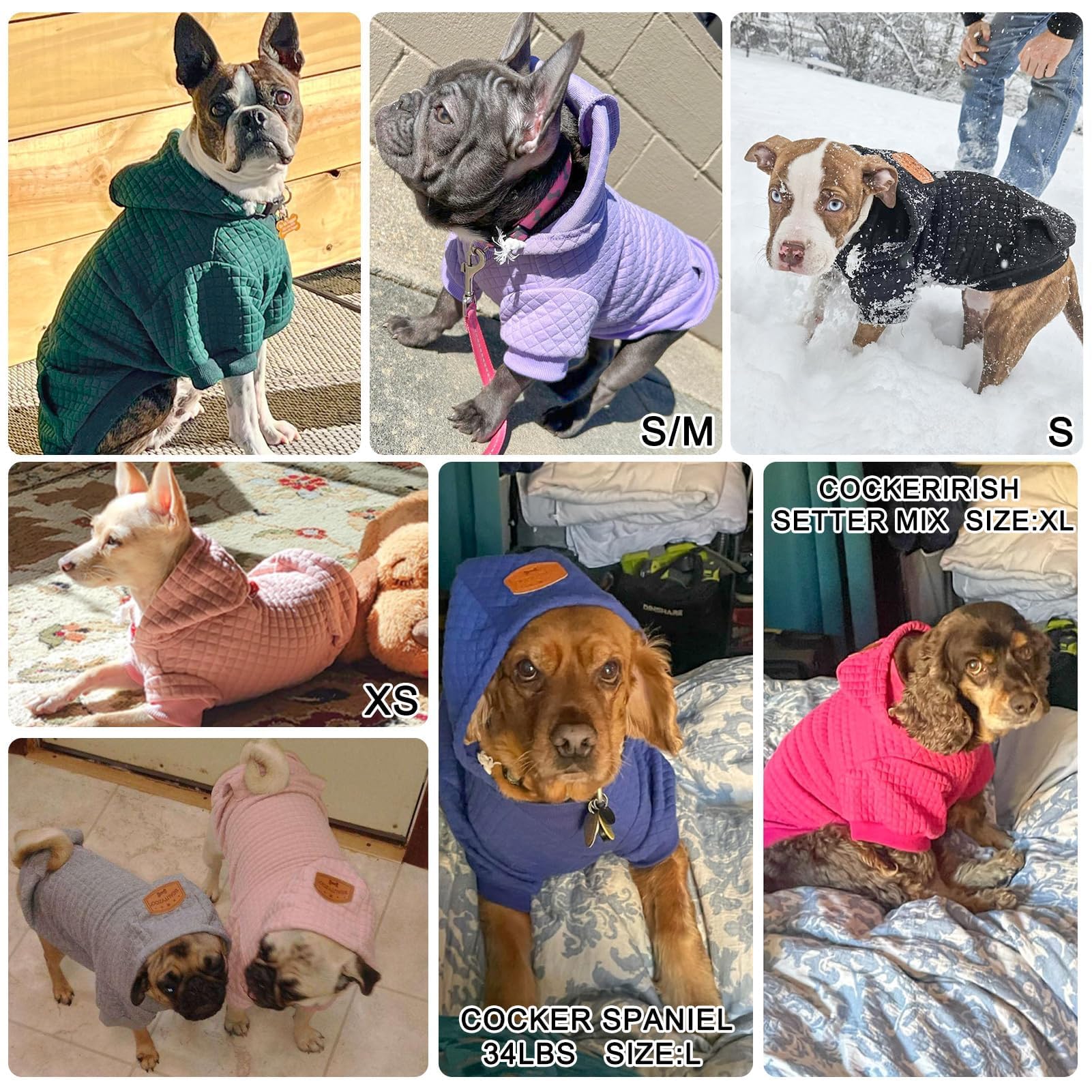 BEAUTYZOO Dog Hoodie color options highlight stylish choices for dogs.