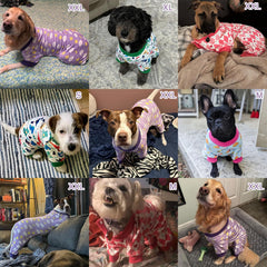 BEAUTYZOO dog pajamas medium belly-wrap-design delivers extra warmth and belly protection.