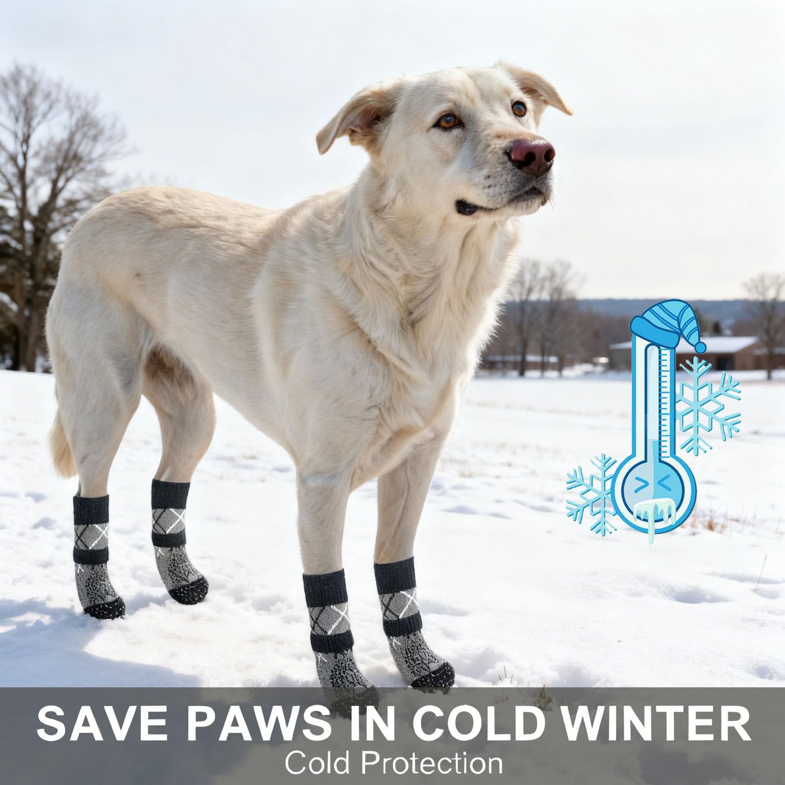 BEAUTYZOO dog socks show adjustable ankle band for secure fit during play.