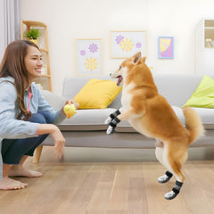 BEAUTYZOO dog socks with adjustable straps stay securely in place during active play.