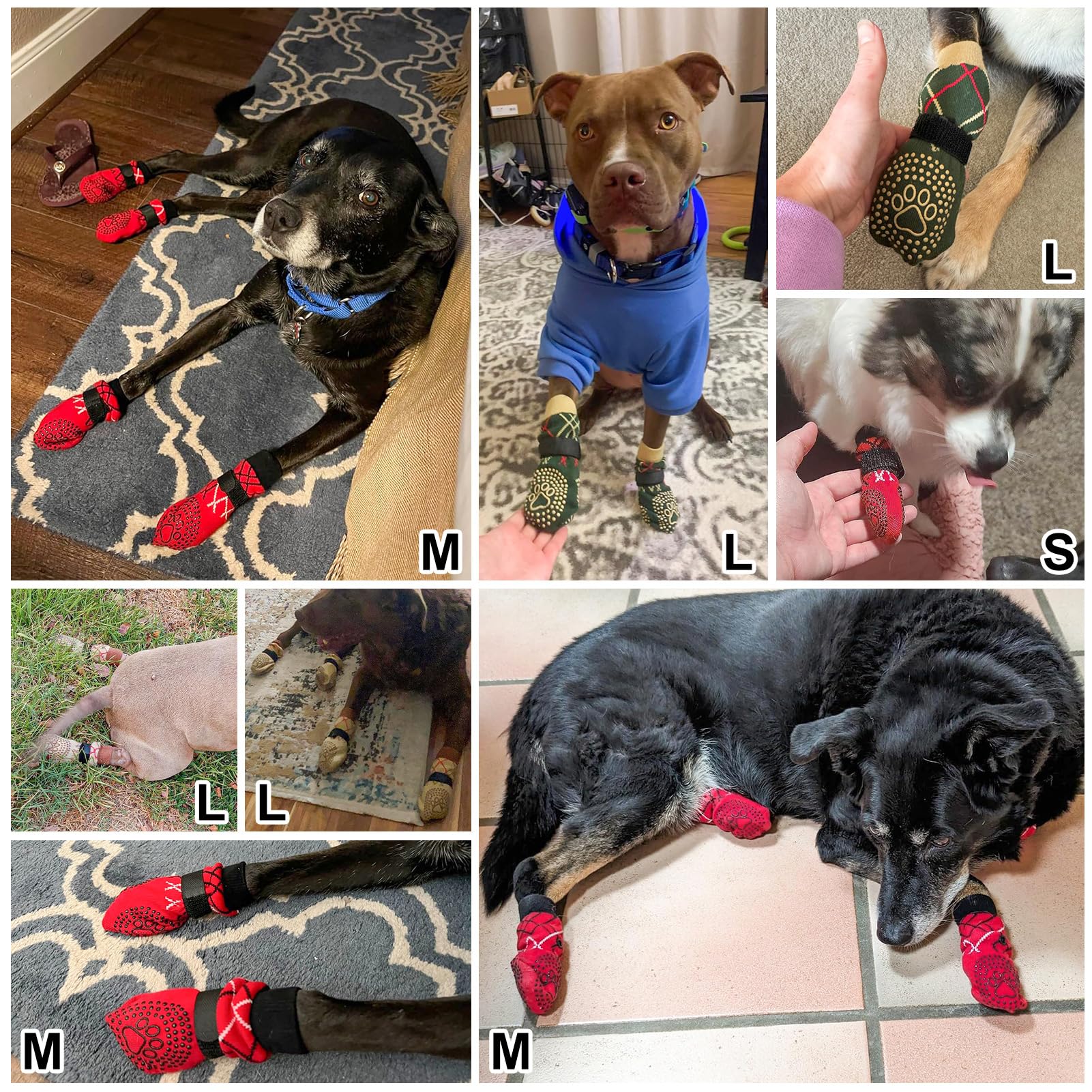 BEAUTYZOO dog socks with elastic ankle band stay in place during active play