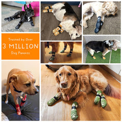 BEAUTYZOO dog socks four-pack packaging highlights versatile indoor use.