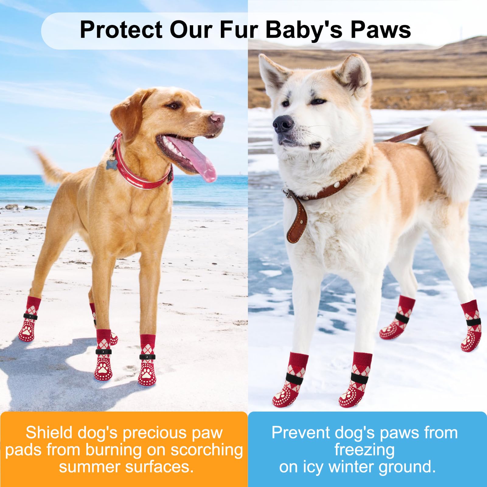 BEAUTYZOO dog socks worn indoors demonstrating floor protection and quieter movement.