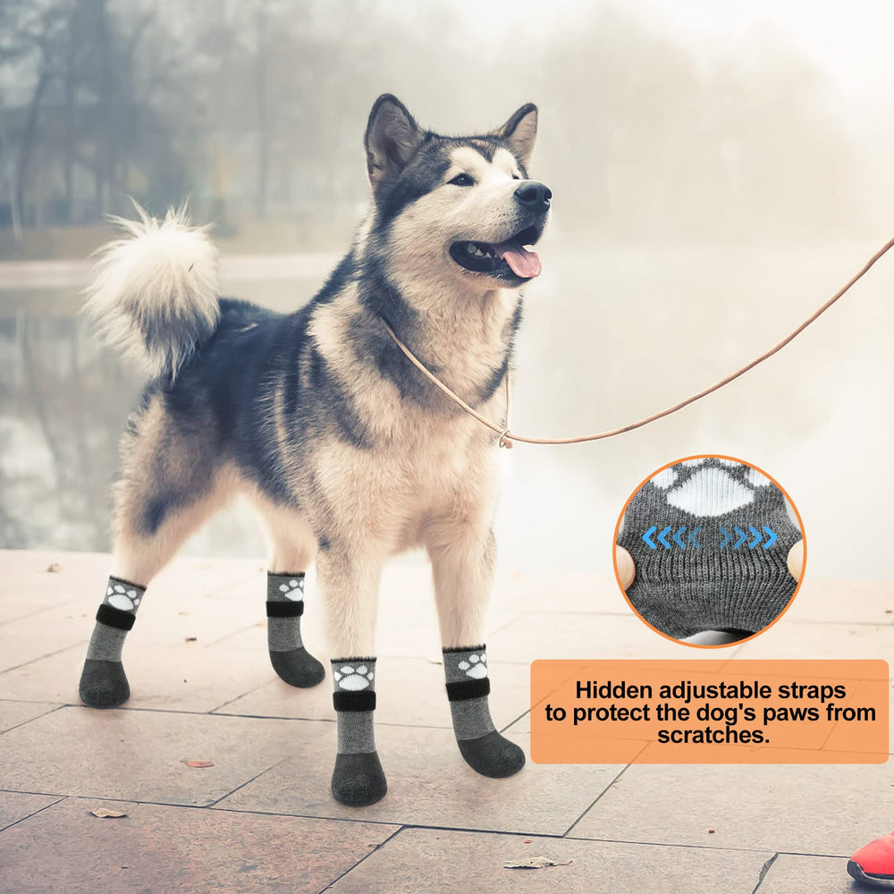 BEAUTYZOO dog socks help prevent licking and provide paw protection