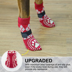 BEAUTYZOO paw-protection socks shield paws from stones and floor scratches.