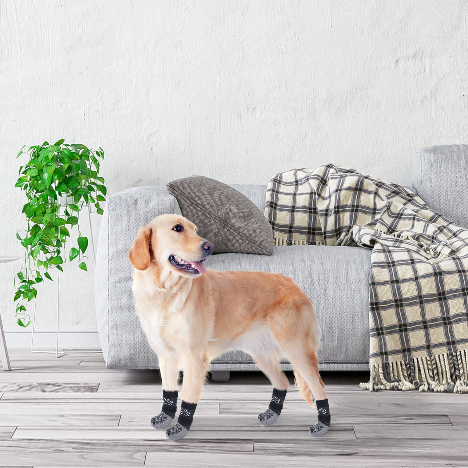 BEAUTYZOO dog socks plaid colors for cute daily wear