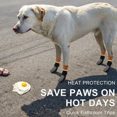 BEAUTYZOO dog socks secure fit with adjustable straps for seniors