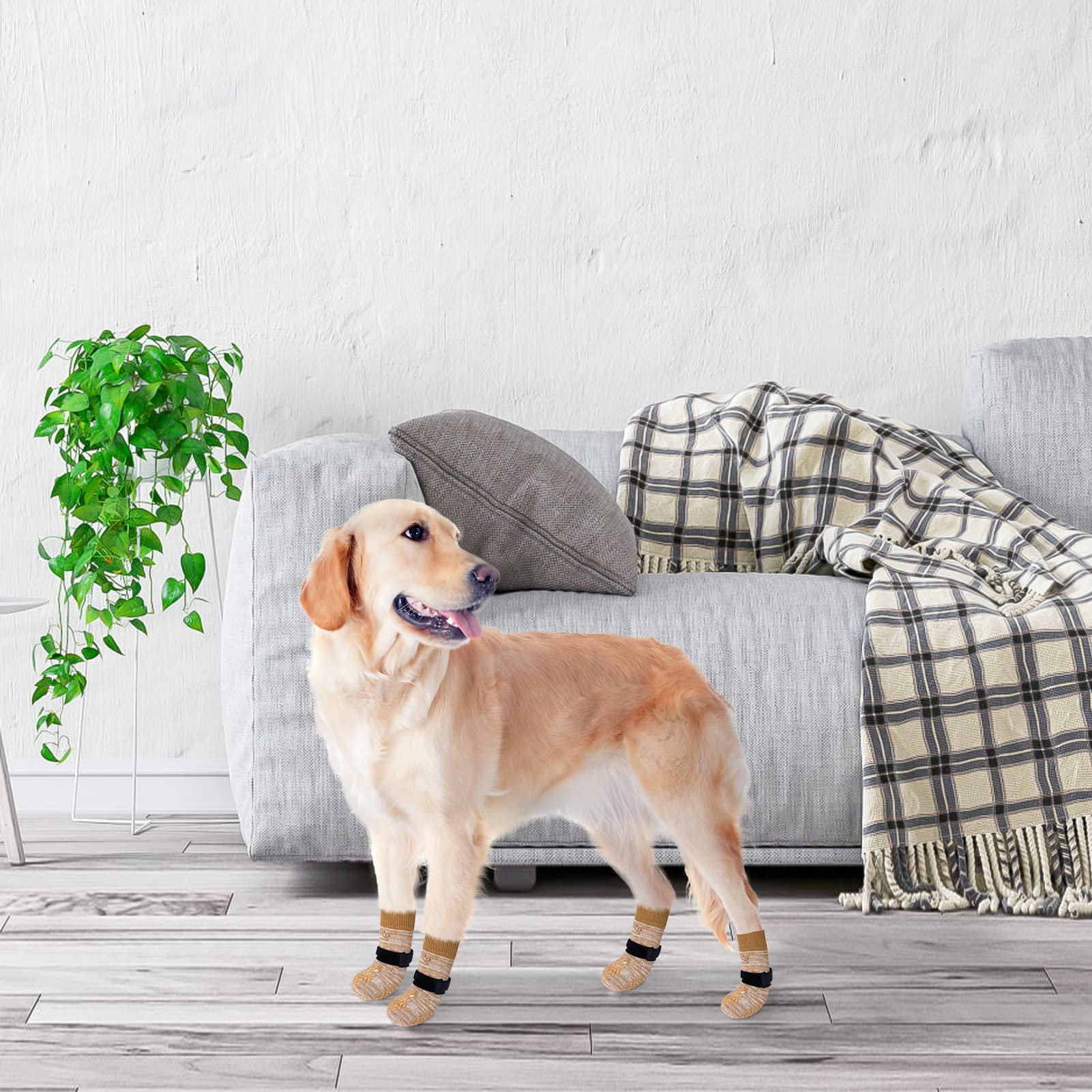 BEAUTYZOO six-pack dog socks offer durable daily wear in playful colors.