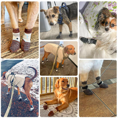 BEAUTYZOO Dog Socks warm knit keeps paws cozy in hot or cold weather