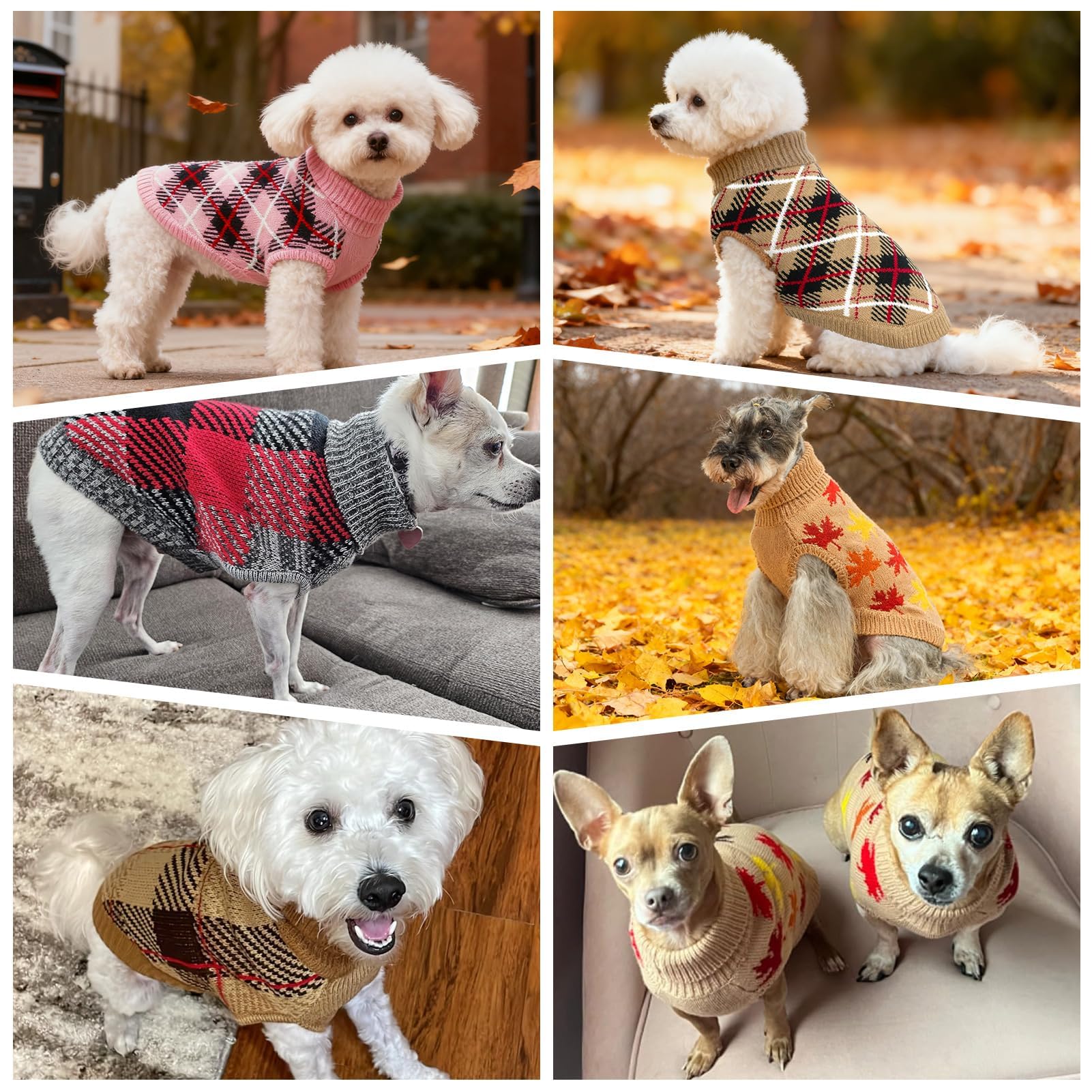 BEAUTYZOO plaid design front highlighting vibrant colors for stylish canine outfits.